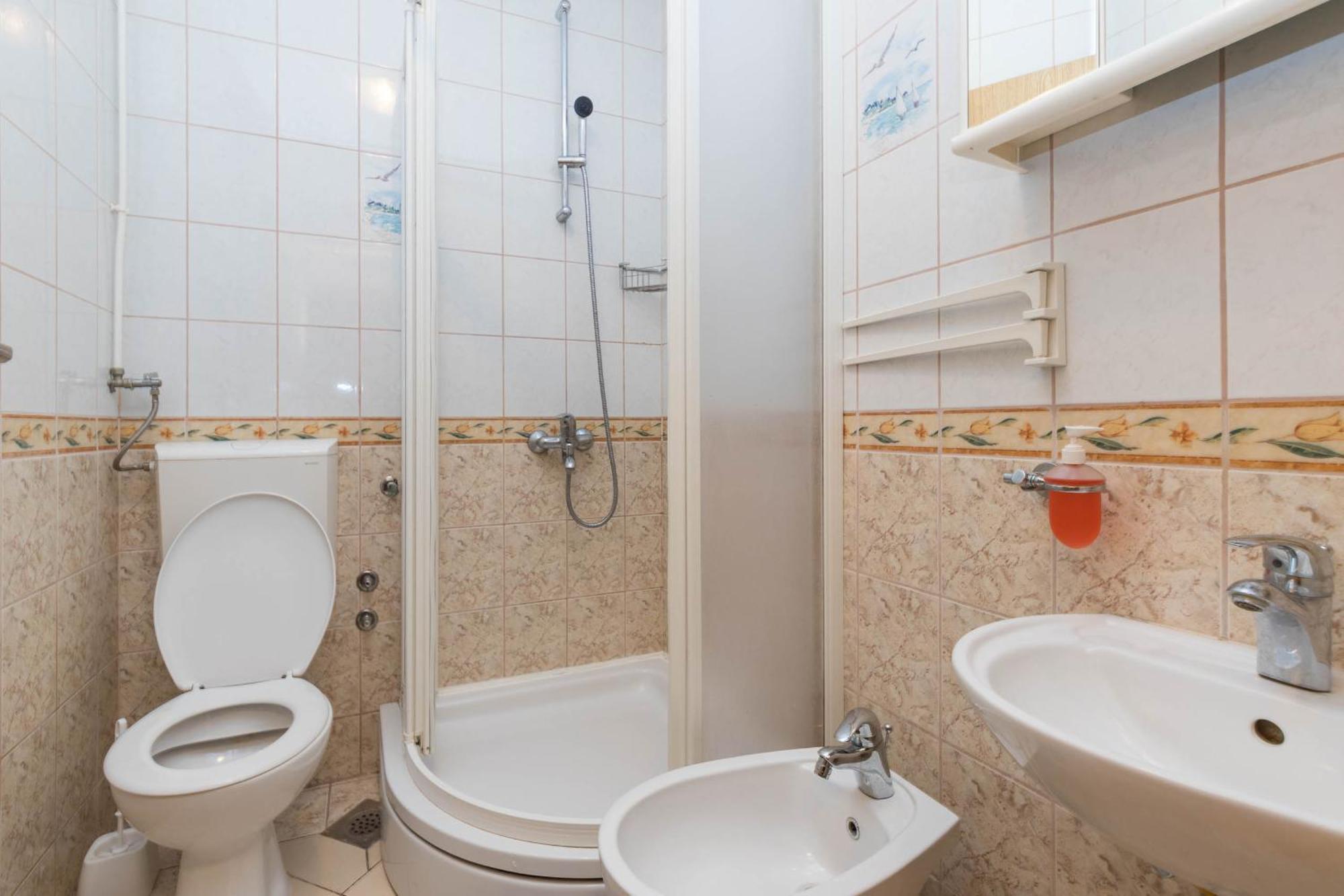 Apartment Cipetic
